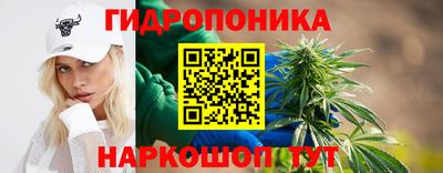apvp Братск