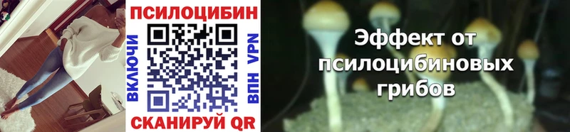 omg ONION  Раменское  Псилоцибиновые грибы прущие грибы 