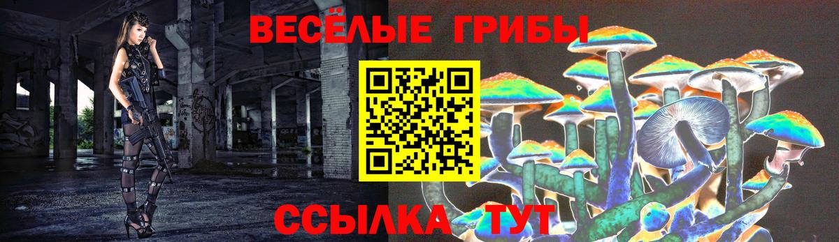 Галлюциногенные грибы GOLDEN TEACHER Раменское