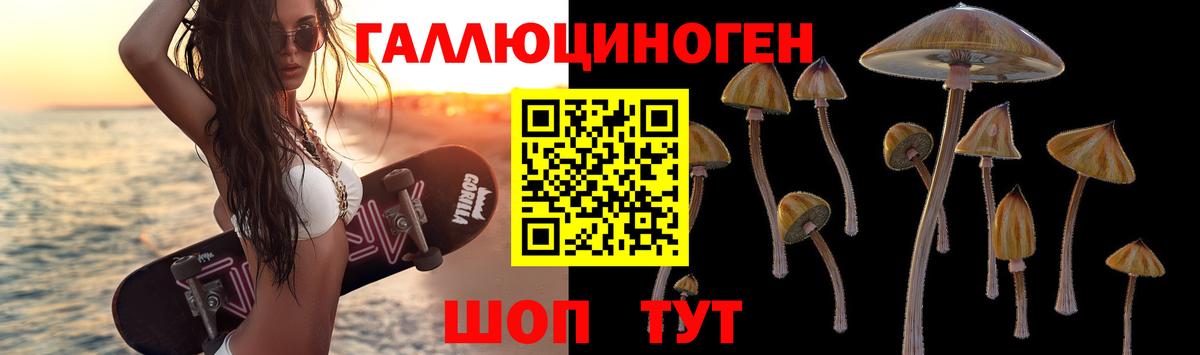 Раменское  Галлюциногенные грибы Psilocybe  Вход с VPN 